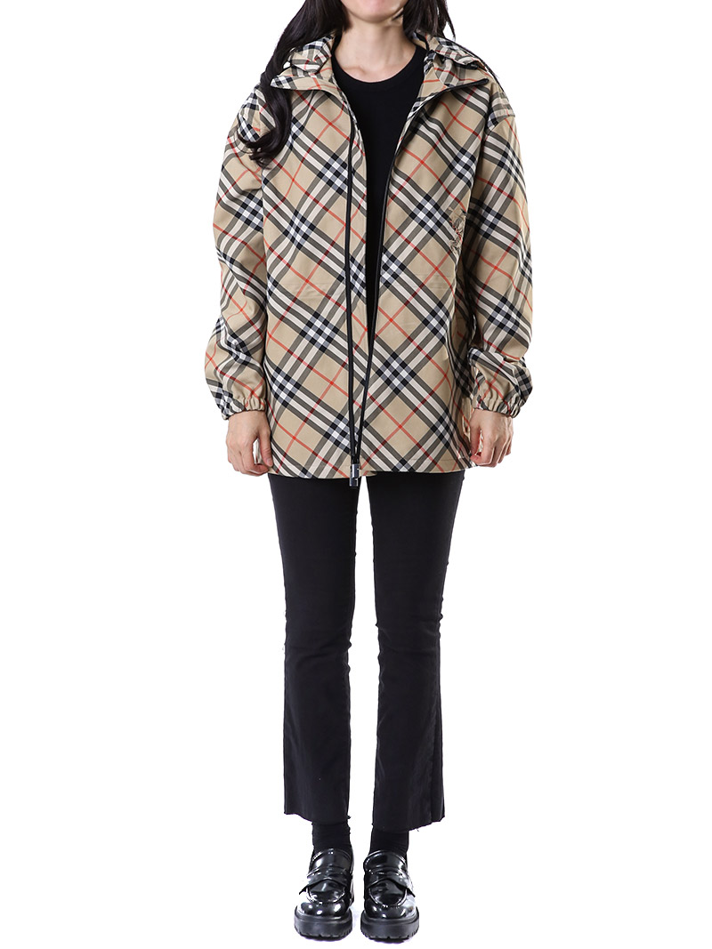 ������ ����