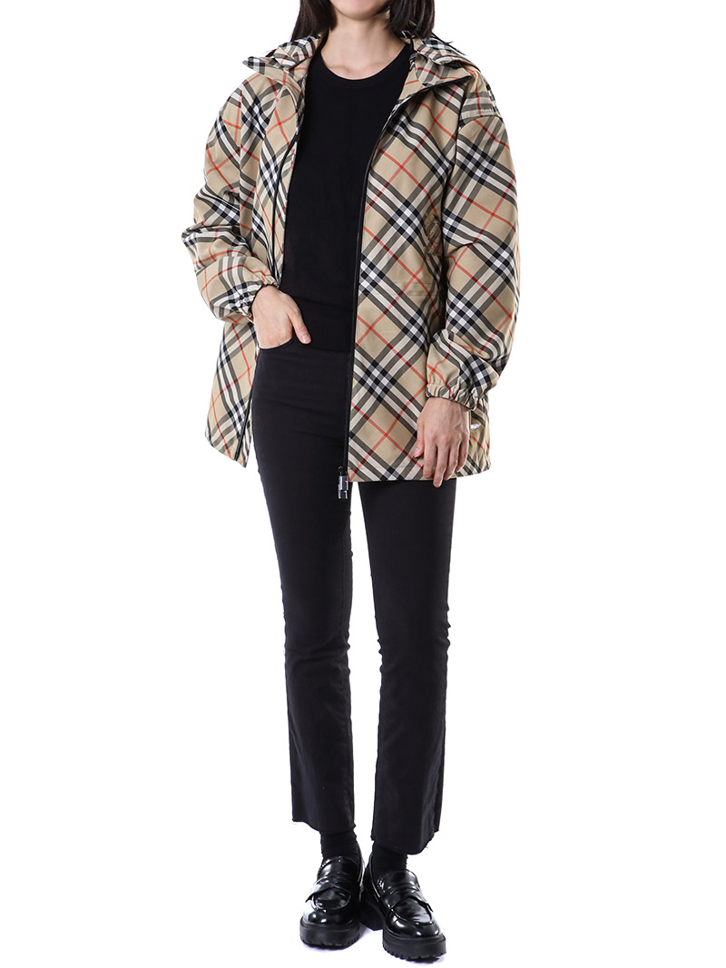 ������ ����