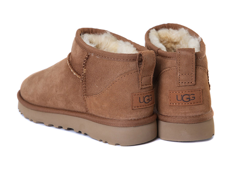 Ʈ������ ������