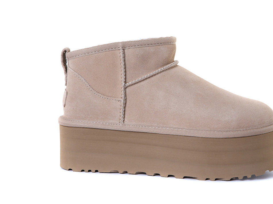 Ʈ������ ������